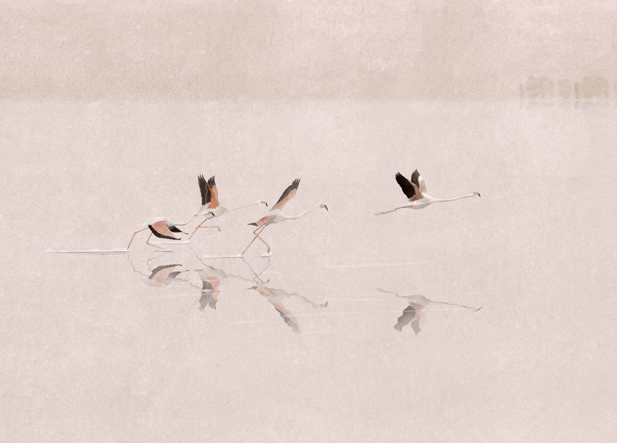 Doñana, Peony, Coordonne