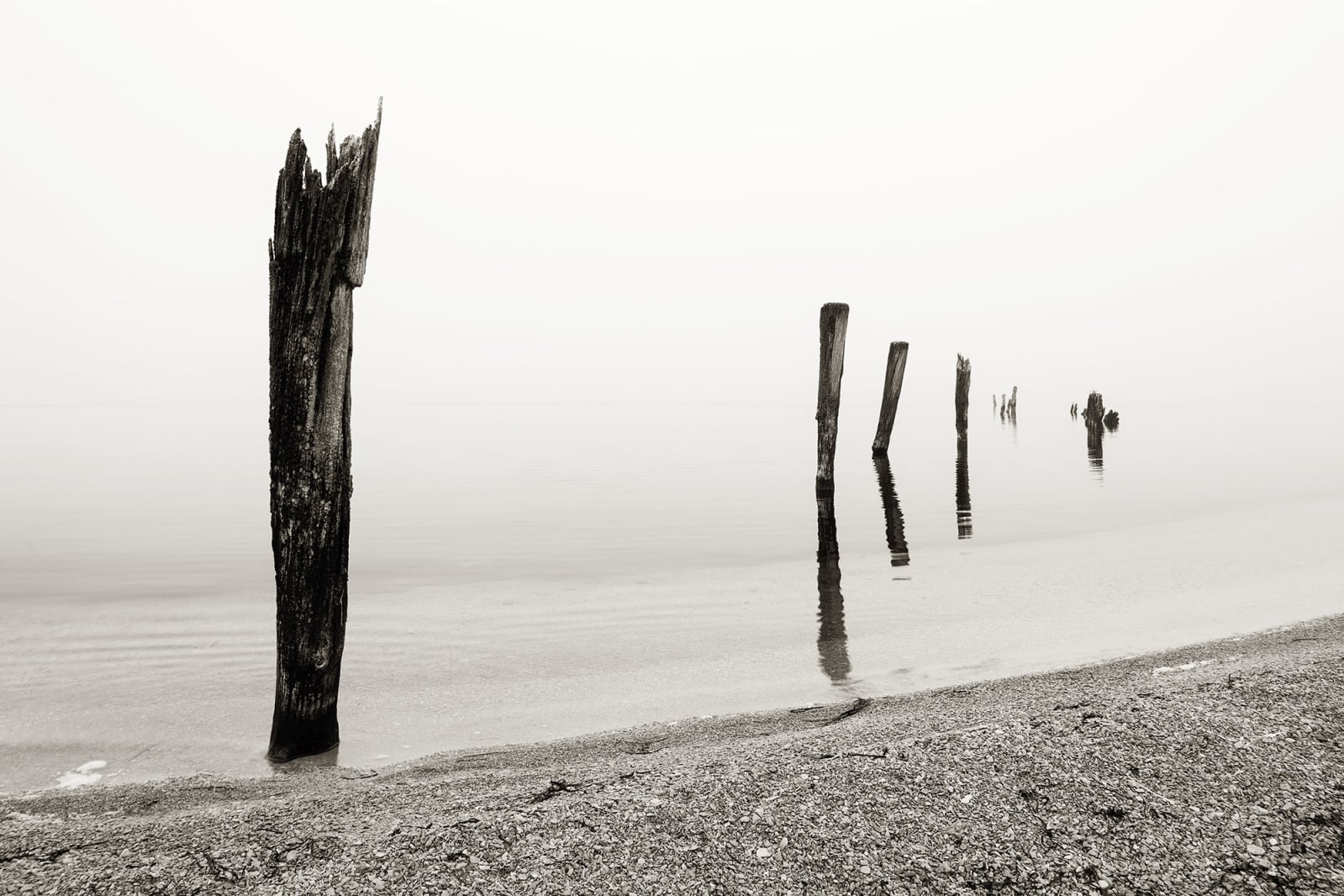 Shoreline, Rebel Walls