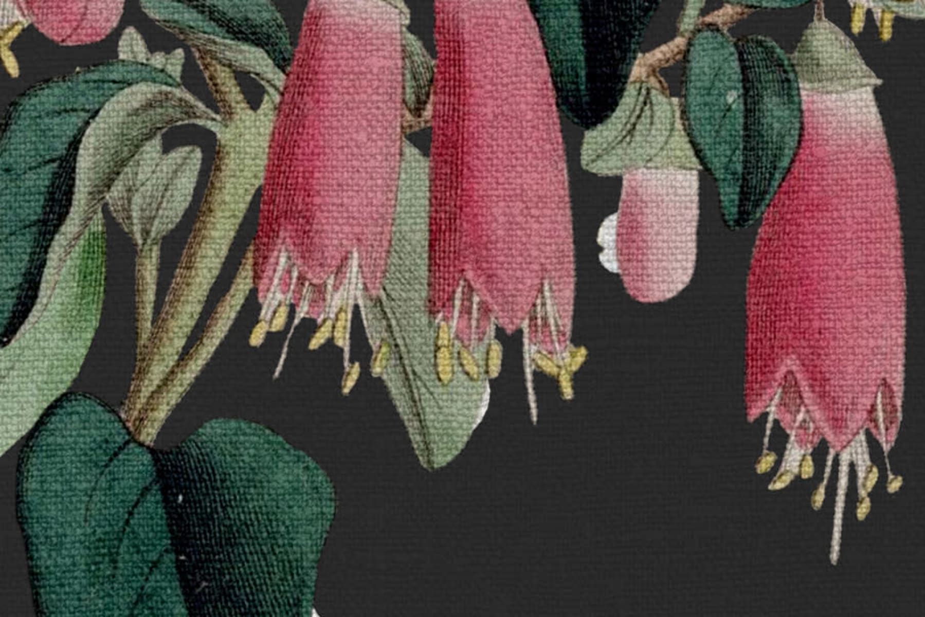 Lotus, Black, Rebel Walls 4