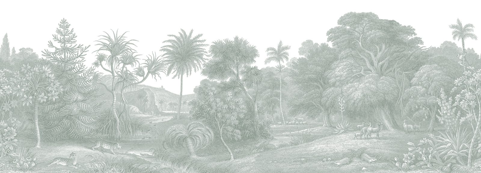 Jungle Land, Verdant, Rebel Walls