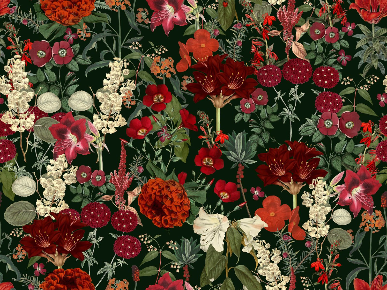 Wintergarden, Red, Rebel Walls