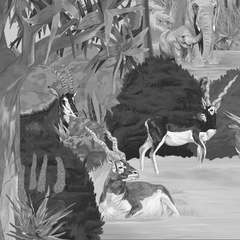 Wonderful Wilds Gray, VLAdiLA 4