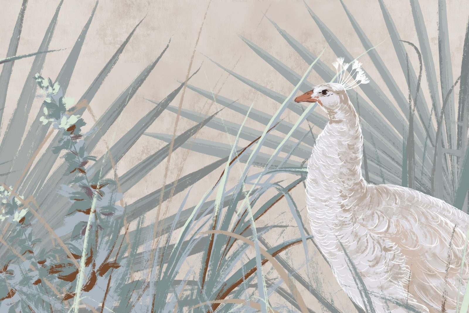 White Peacocks, Rebel Walls 4