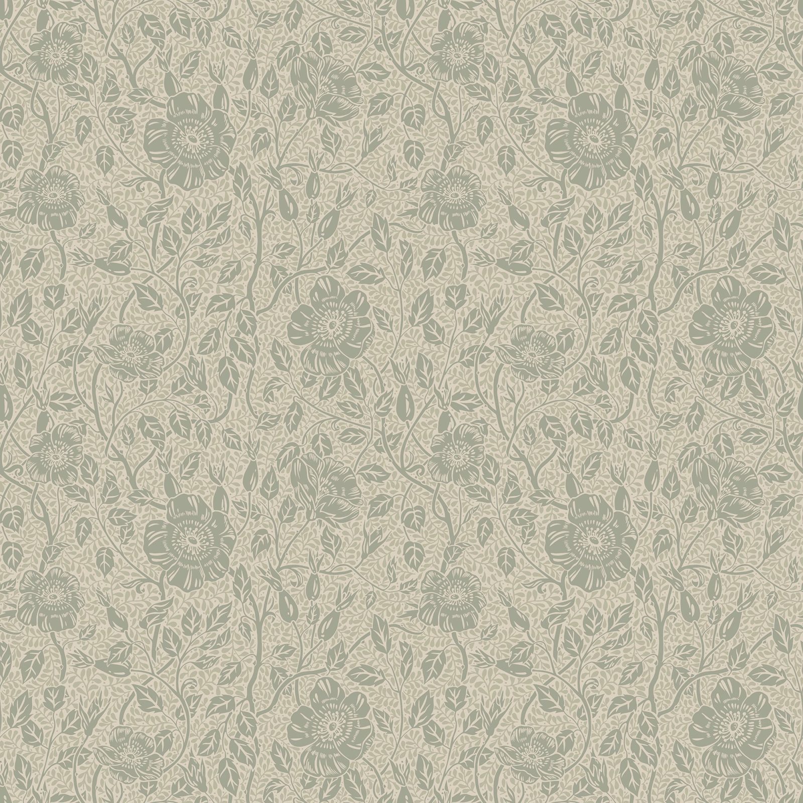 Anton, Sage Green, Sandberg, 5.3mp / rola