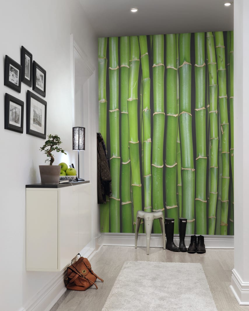 Bamboo, Rebel Walls 3