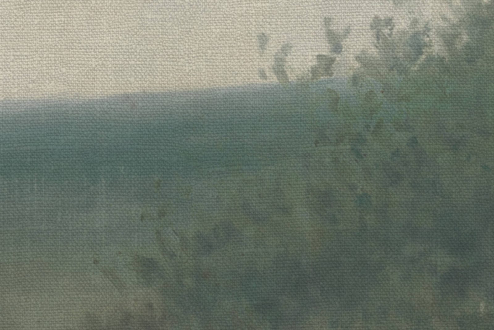 Poppy Landscape, Dawn, Rebel Walls 4