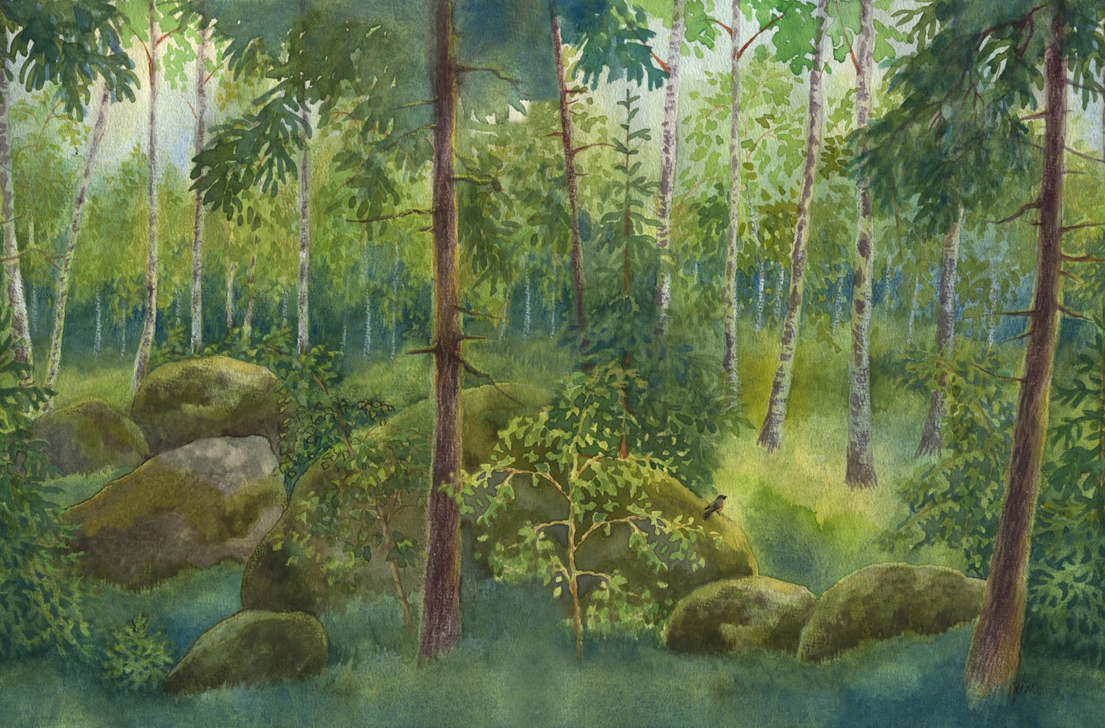 Home Forest, Spring, Rebel Walls