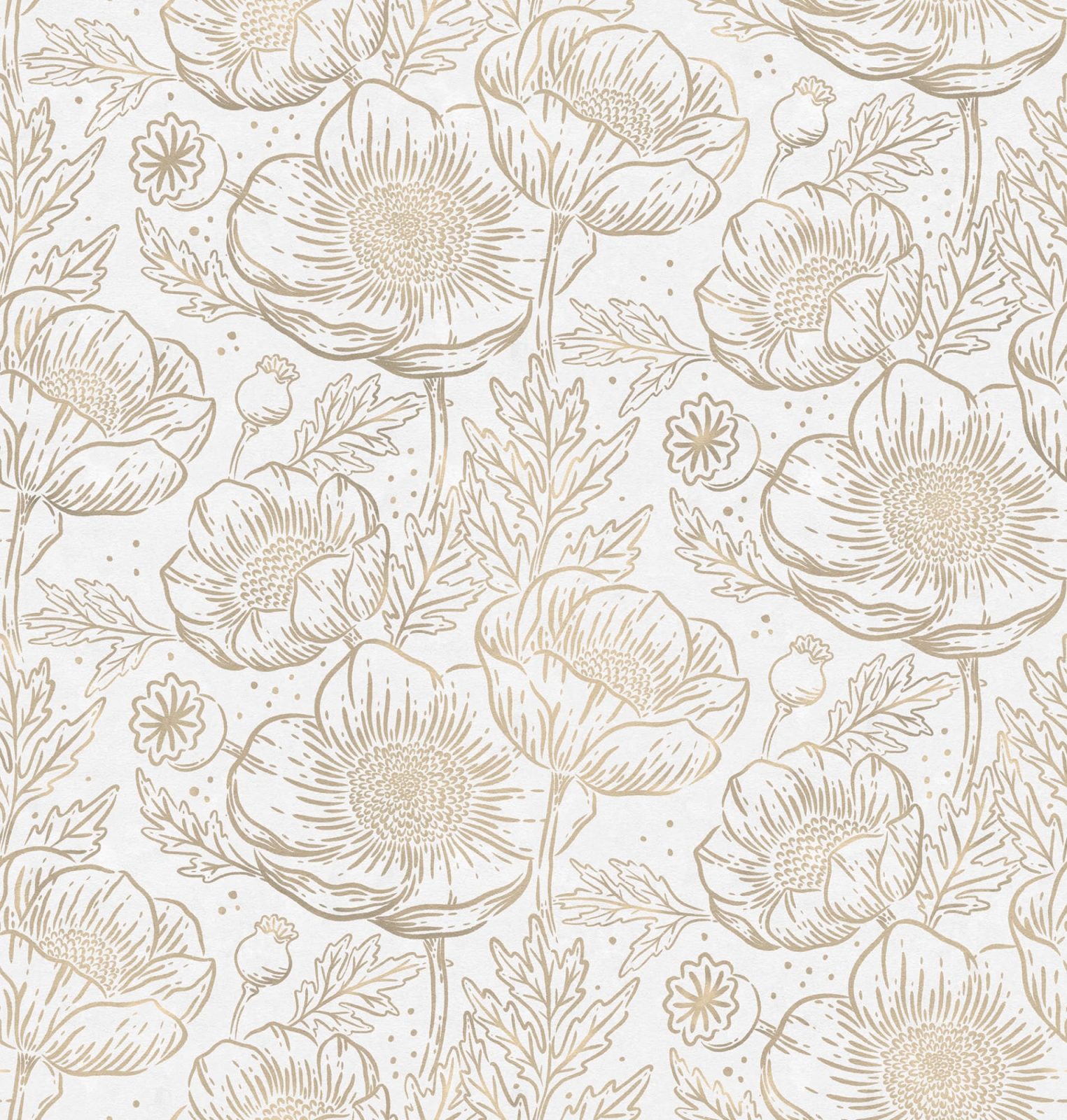 Golden Poppy, White, Rebel Walls
