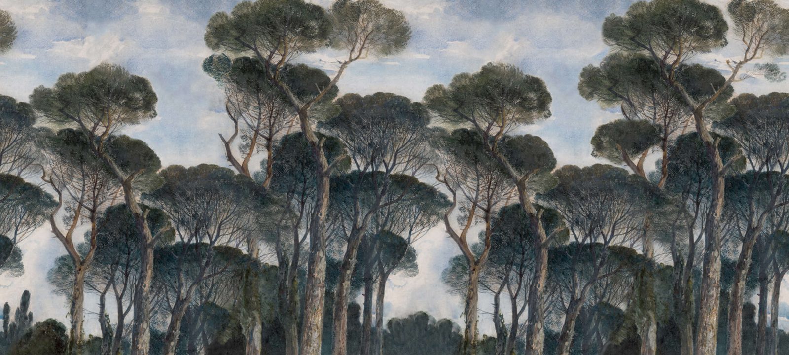Umbrella Pines, Vintage, Rebel Walls