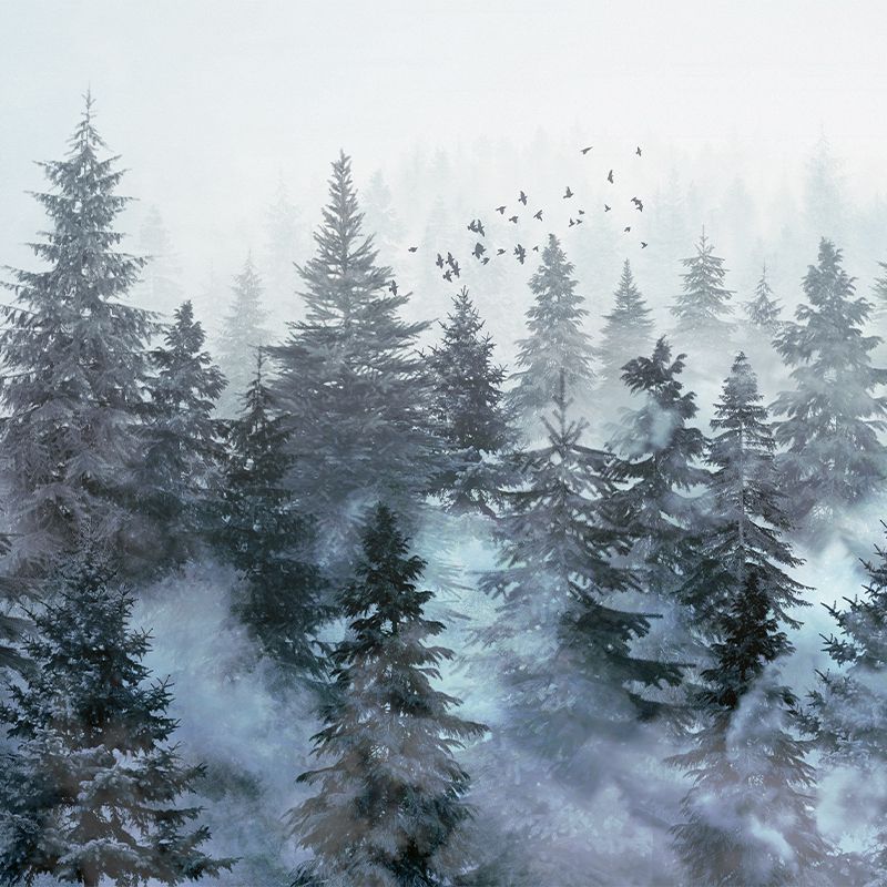 Rivian Forest Stone, VLAdiLA