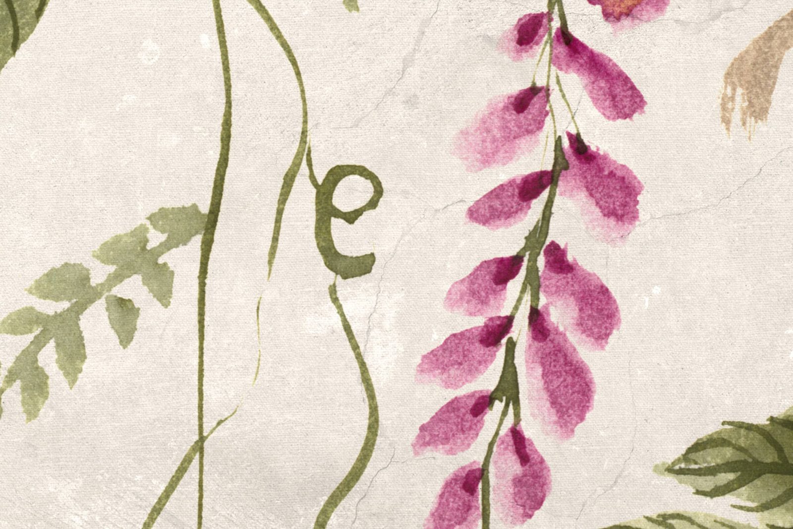 Whispers Wisteria, Pink, Rebel Walls 4