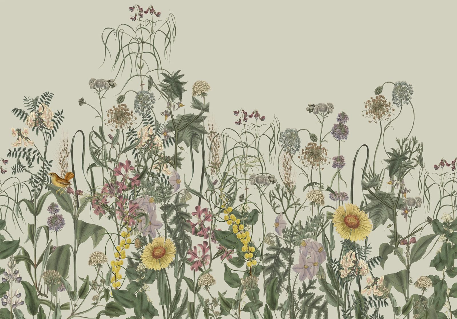 Springmeadow, Beige, Rebel Walls
