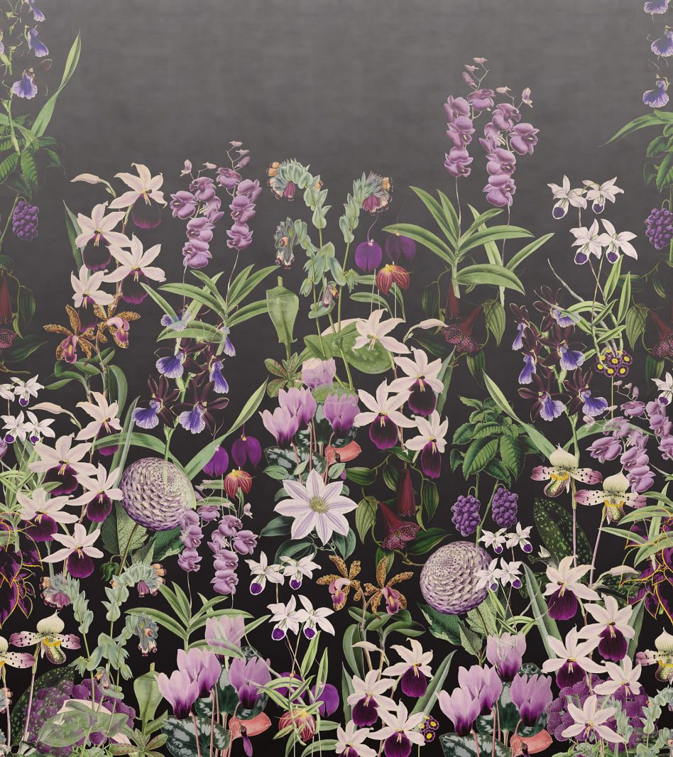 Alice's Garden, Midnight, Rebel Walls