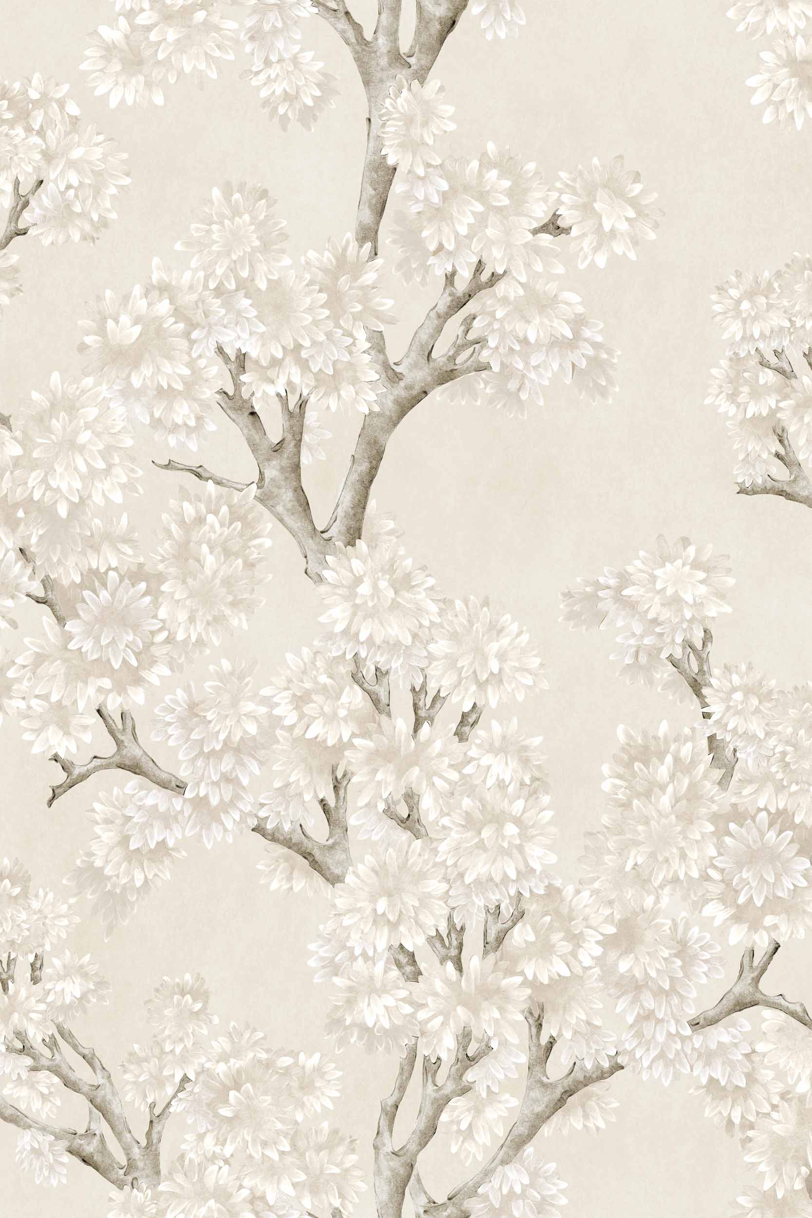 Field-Maple, Bone, Coordonne, 5mp / rola