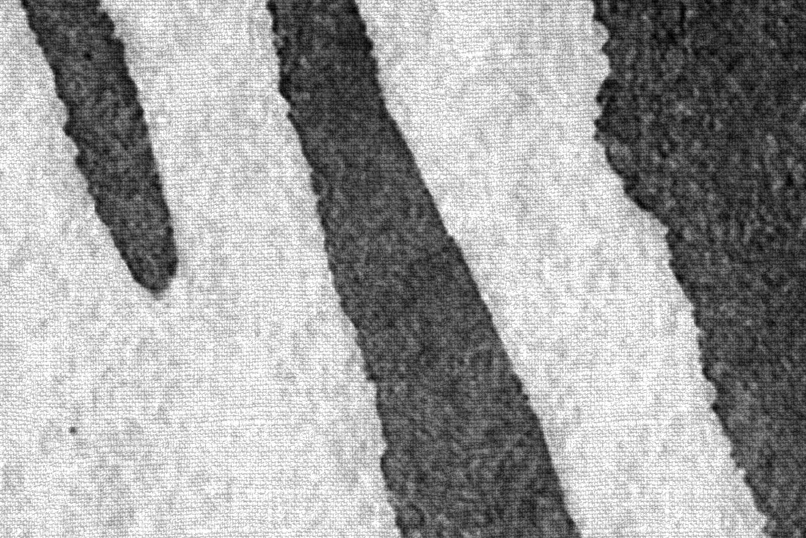Zebra Stripes, Graphite, Rebel Walls 3