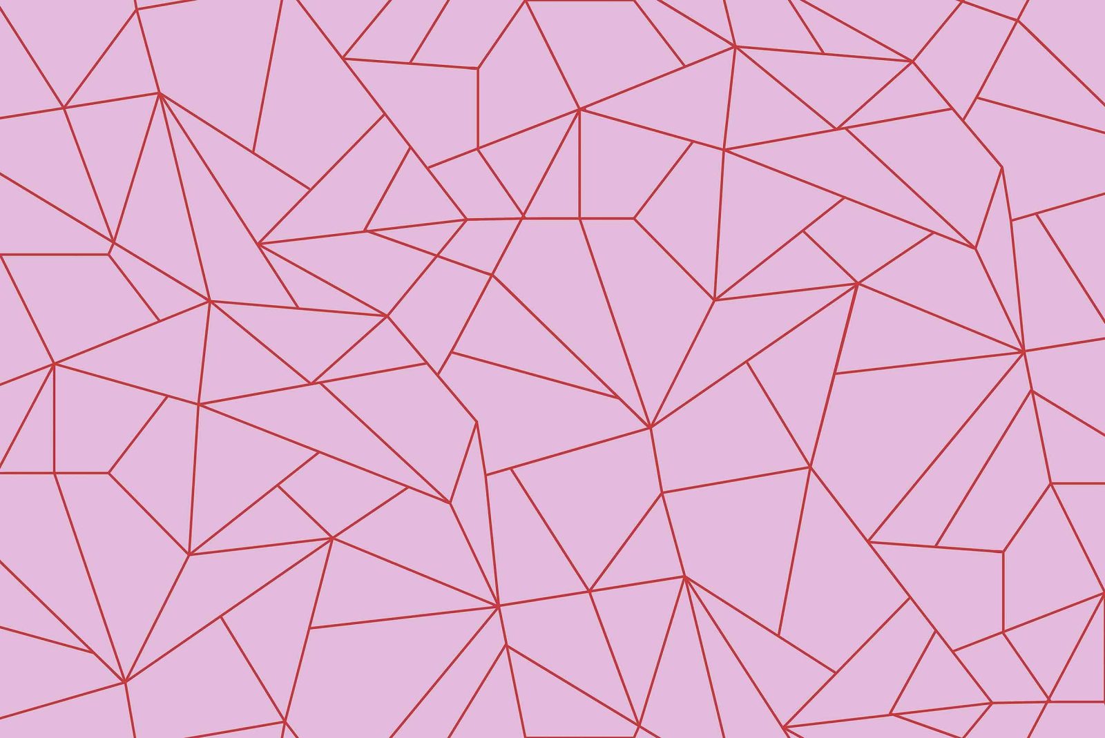 Fractal, Rosa, Coordonne