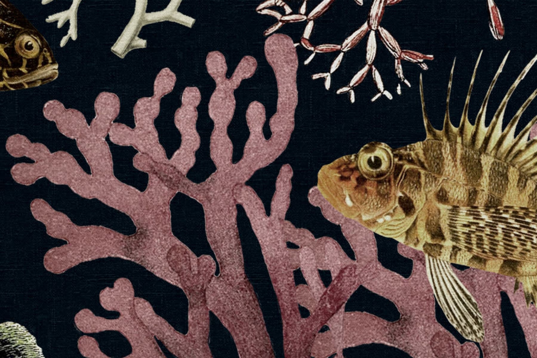 Ocean Life, Night, Rebel Walls 4