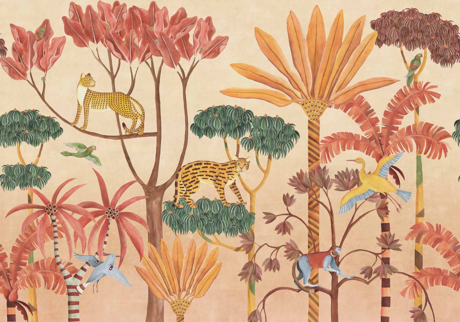WildWood, Peach, Coordonne