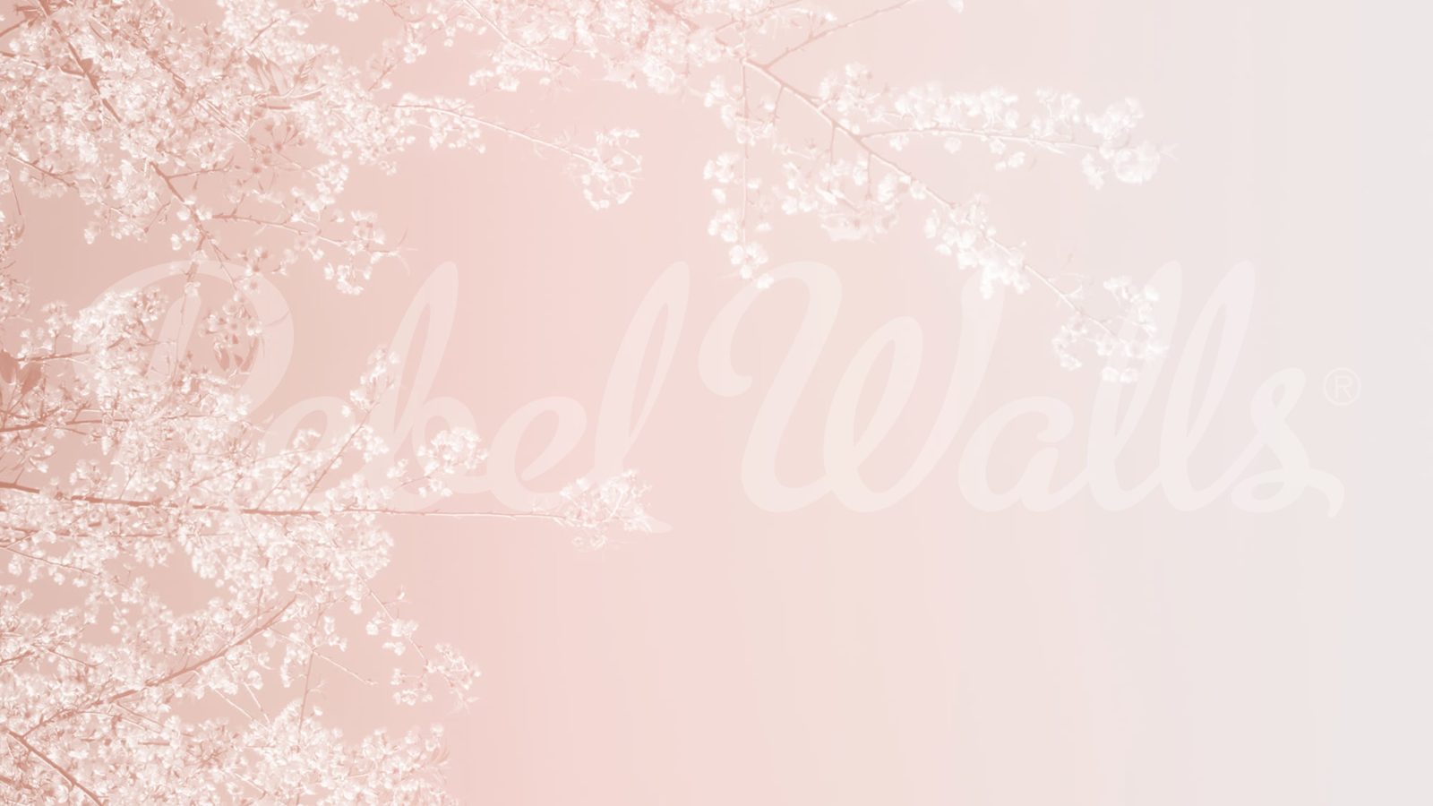 Pink Branches, Rebel Walls