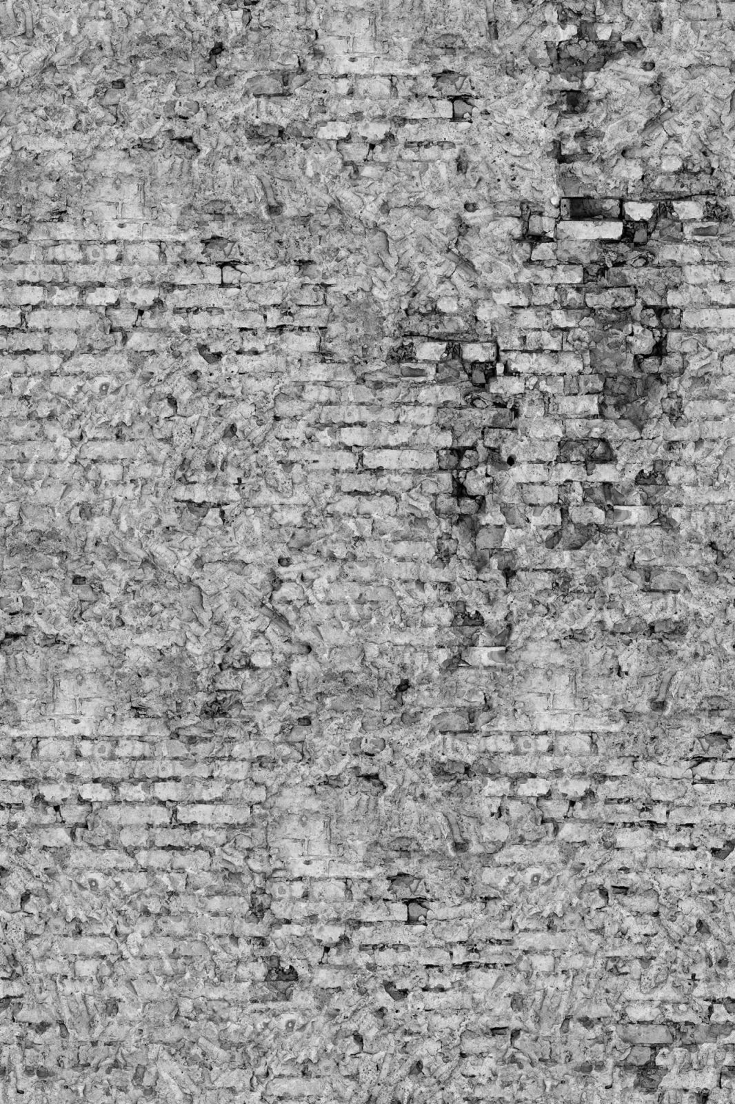 Barcelona, Grey, Rebel Walls