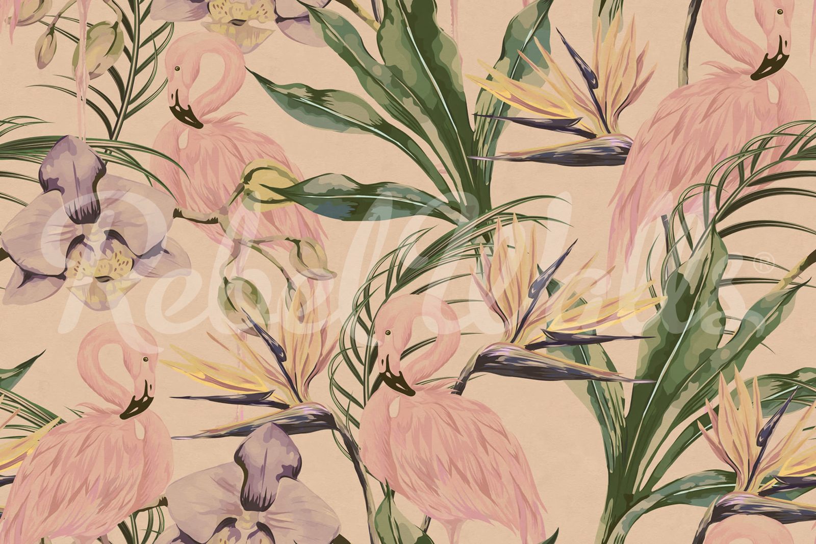 Vintage Flamingos, Rebel Walls