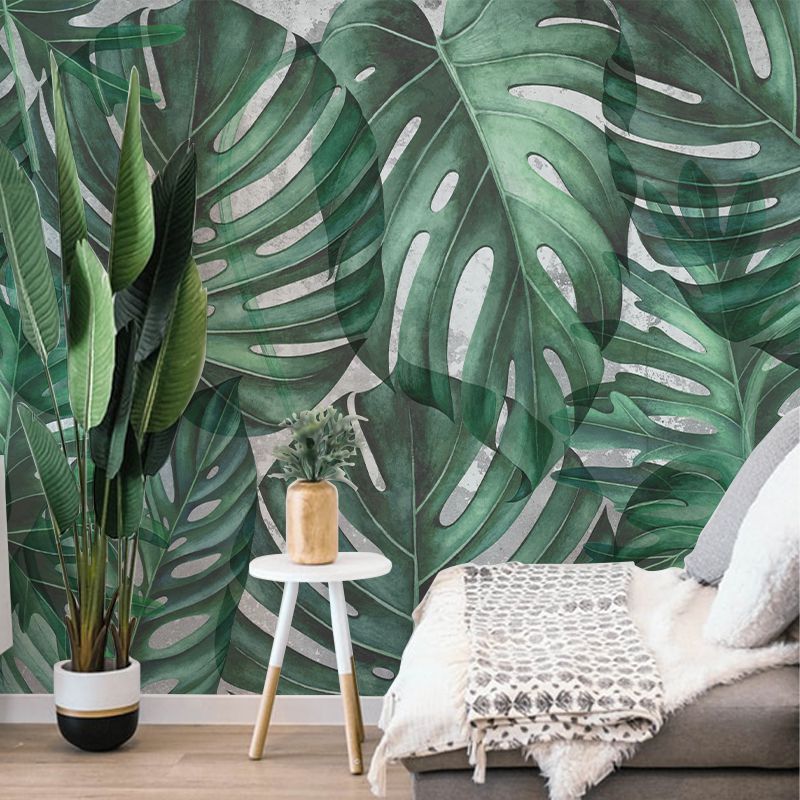Green Philodendron, VLAdiLA 3
