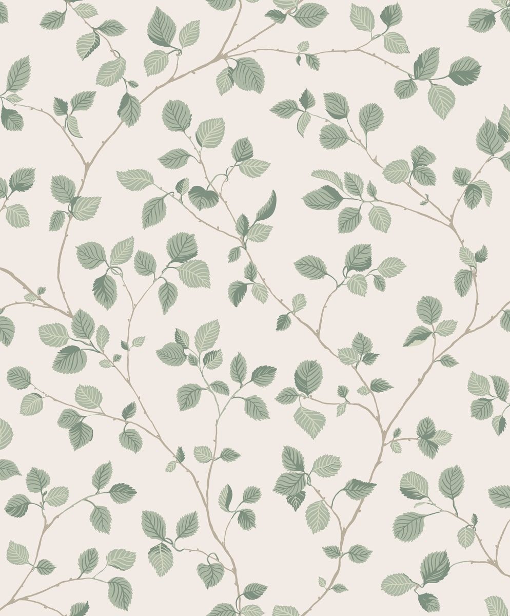 Bokskog, Garden Green, Sandberg, 5.3mp / rola