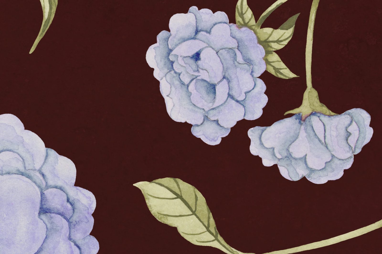 Peony Bloom, Burgundy, Rebel Walls 4