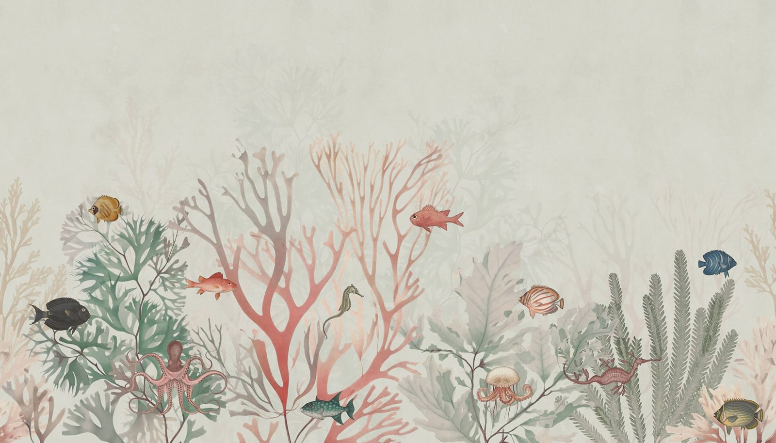 Coral World, Day, Rebel Walls