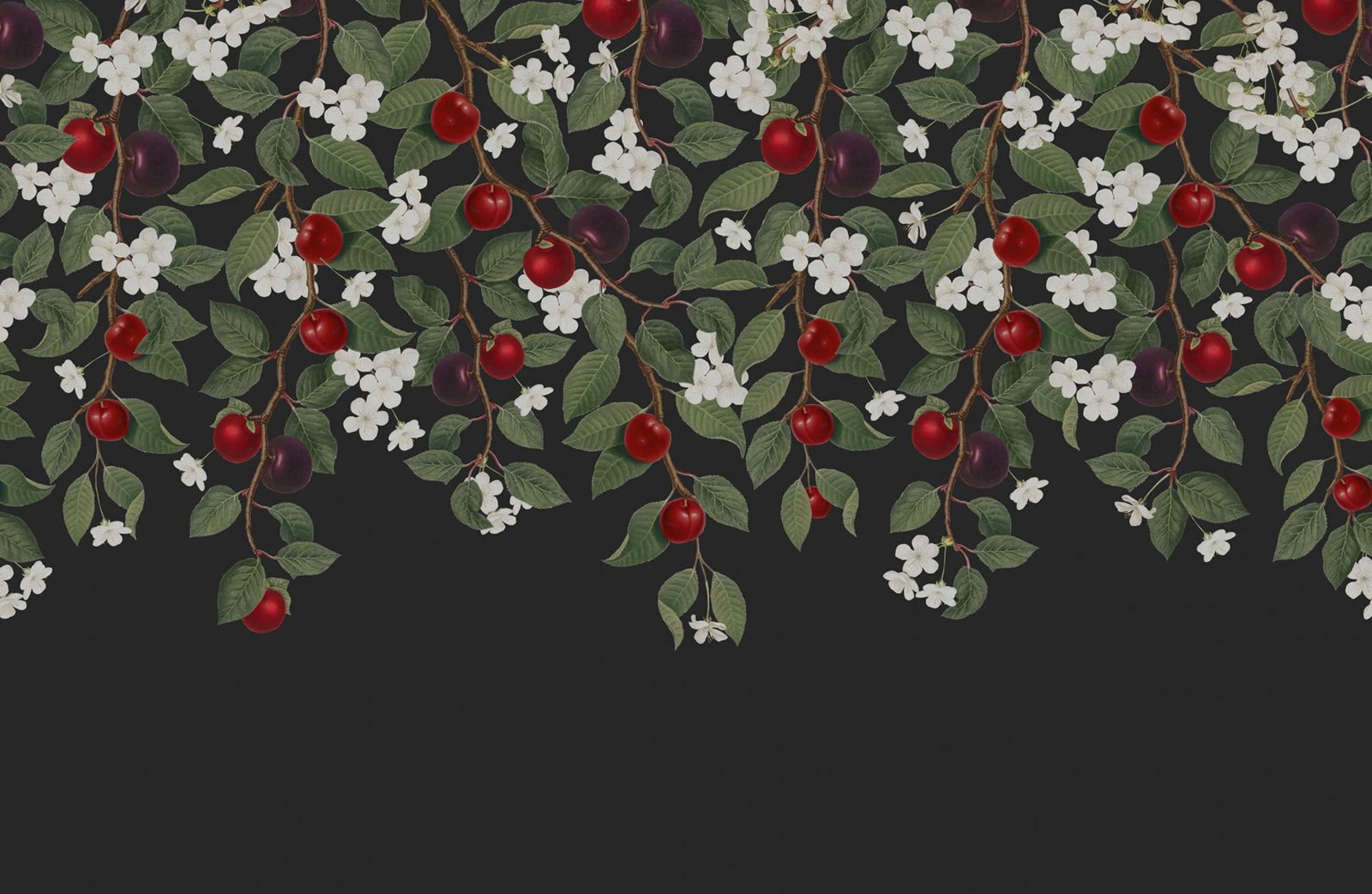 Mirabelle, Midnight, Rebel Walls