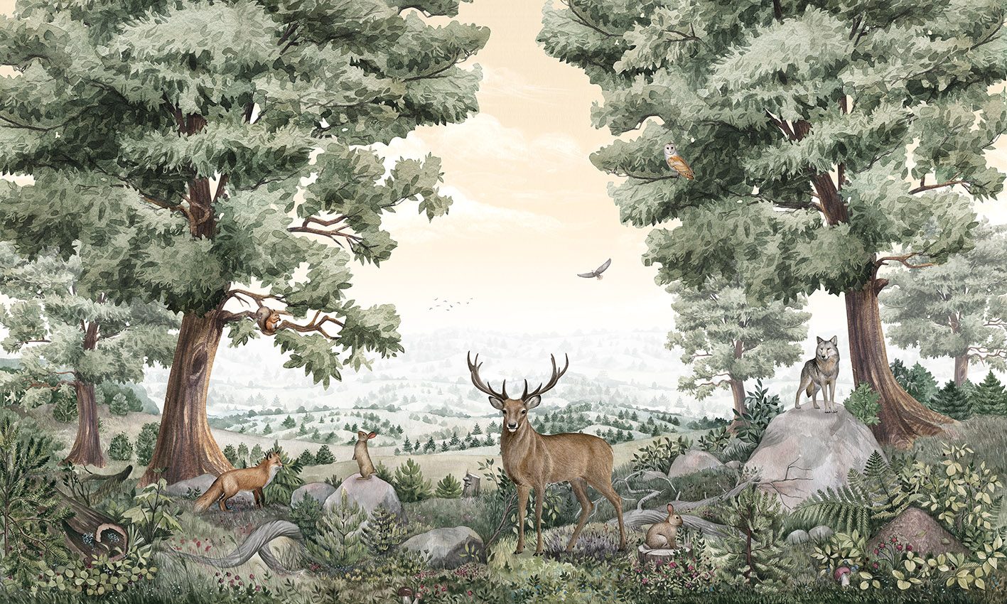 Forest Vista, Kikki Belle