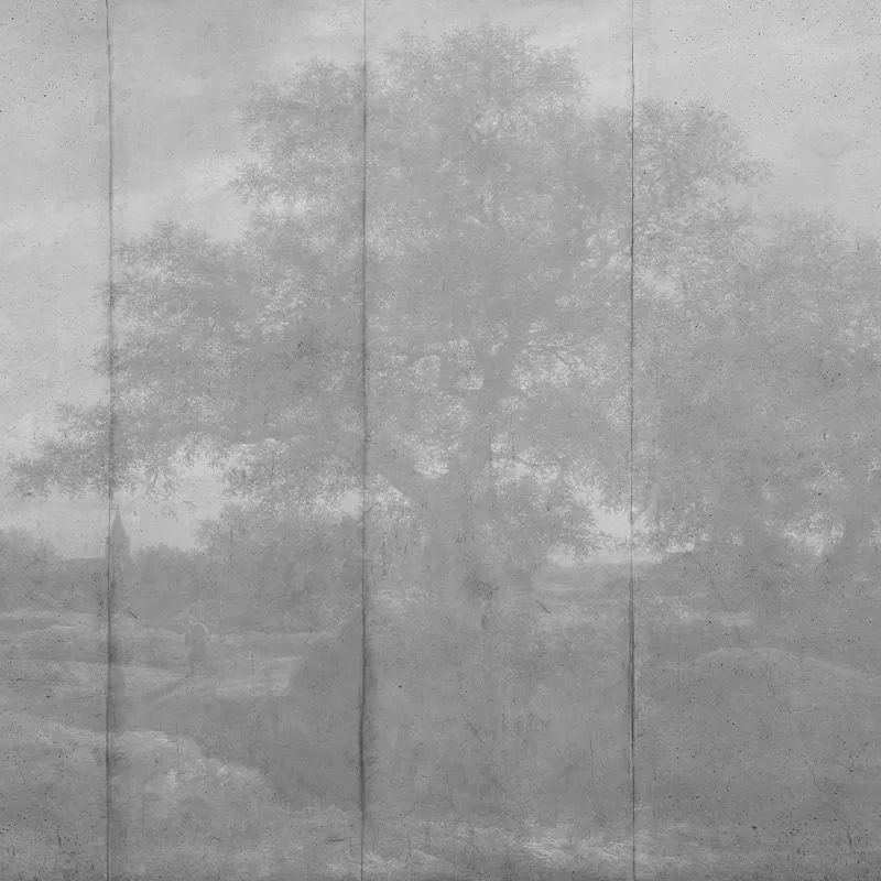 Countryside (gray), VLAdiLA