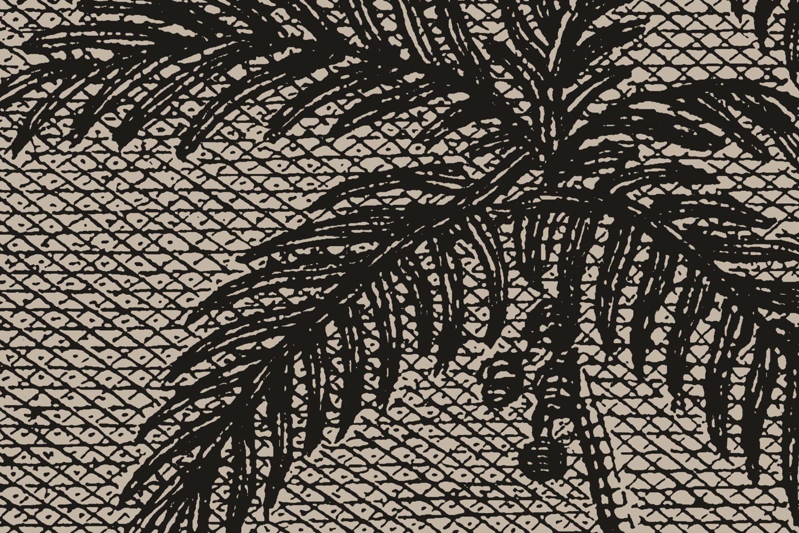 Palm Beach, Vintage, Rebel Walls 4