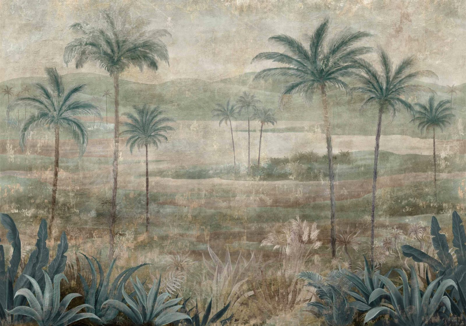 Draa Palms, Sage, Coordonne