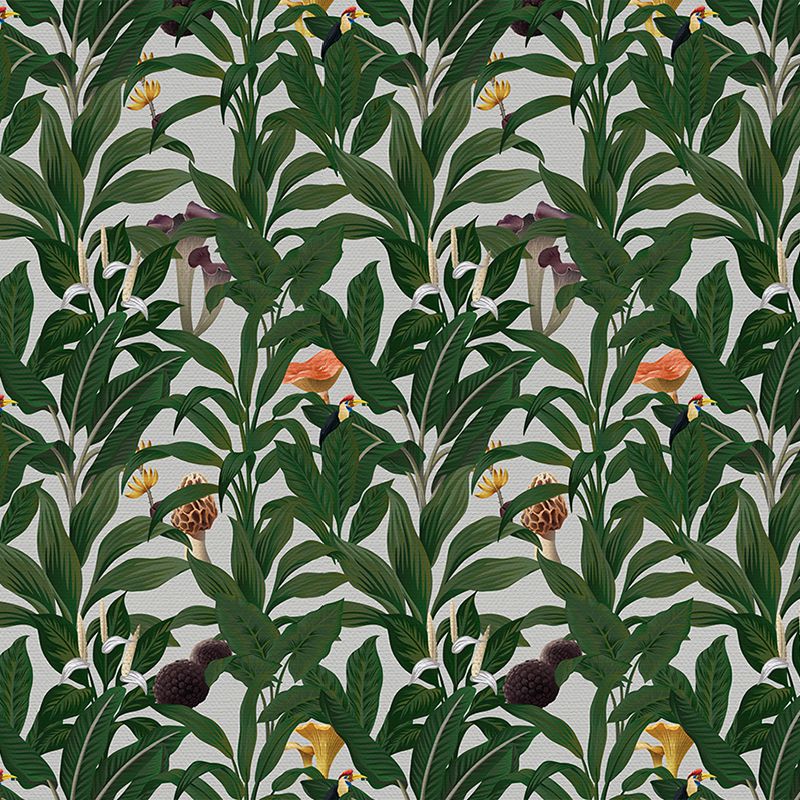 White tropical story, VLAdiLA
