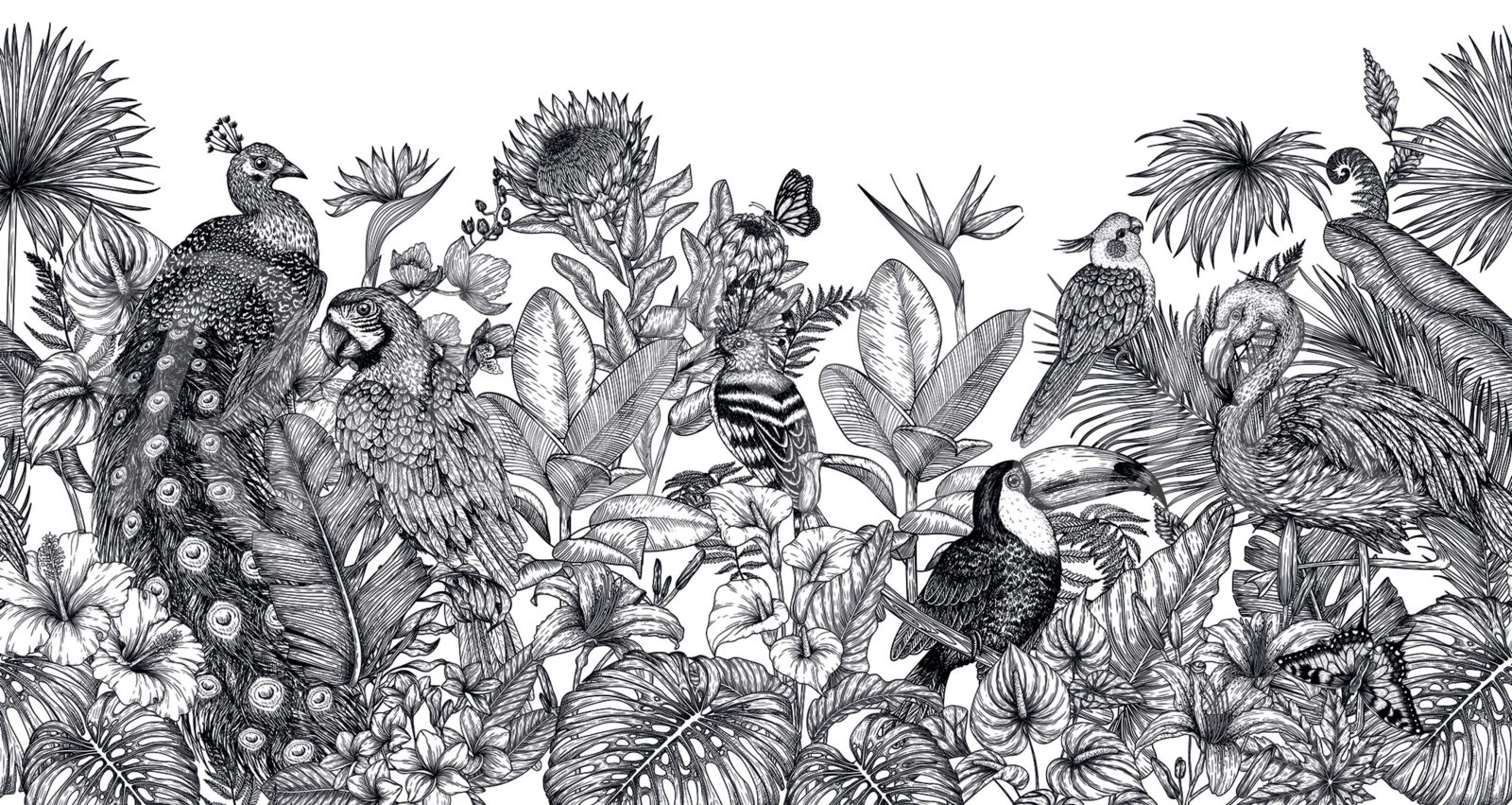 Birds Garden, Black & White, Rebel Walls