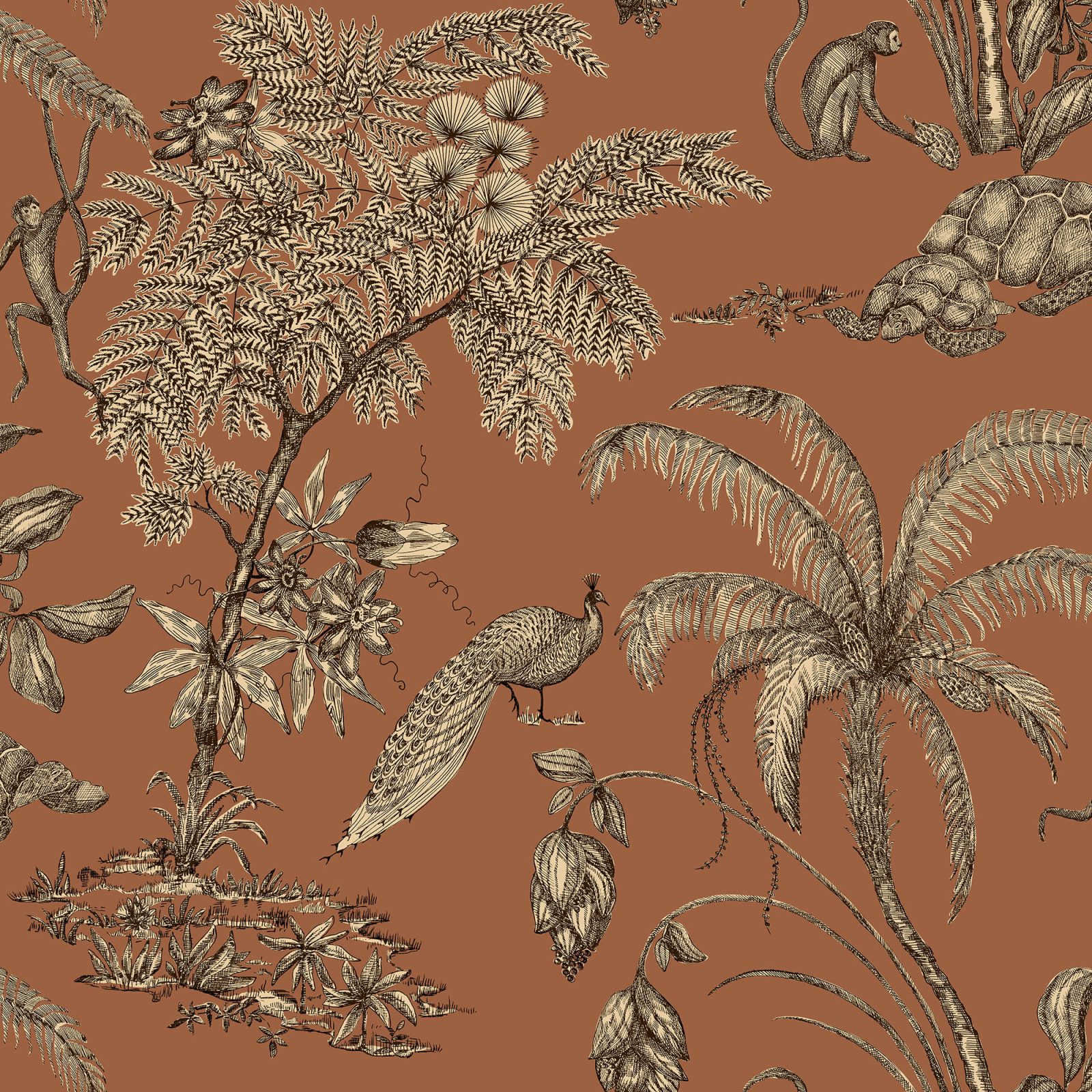 Moa, Terracotta, Sandberg, 5.3mp / rola