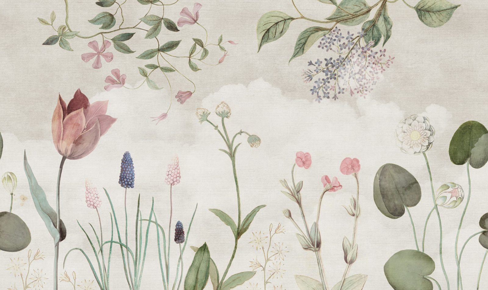 Floral Nostalgia, Rebel Walls