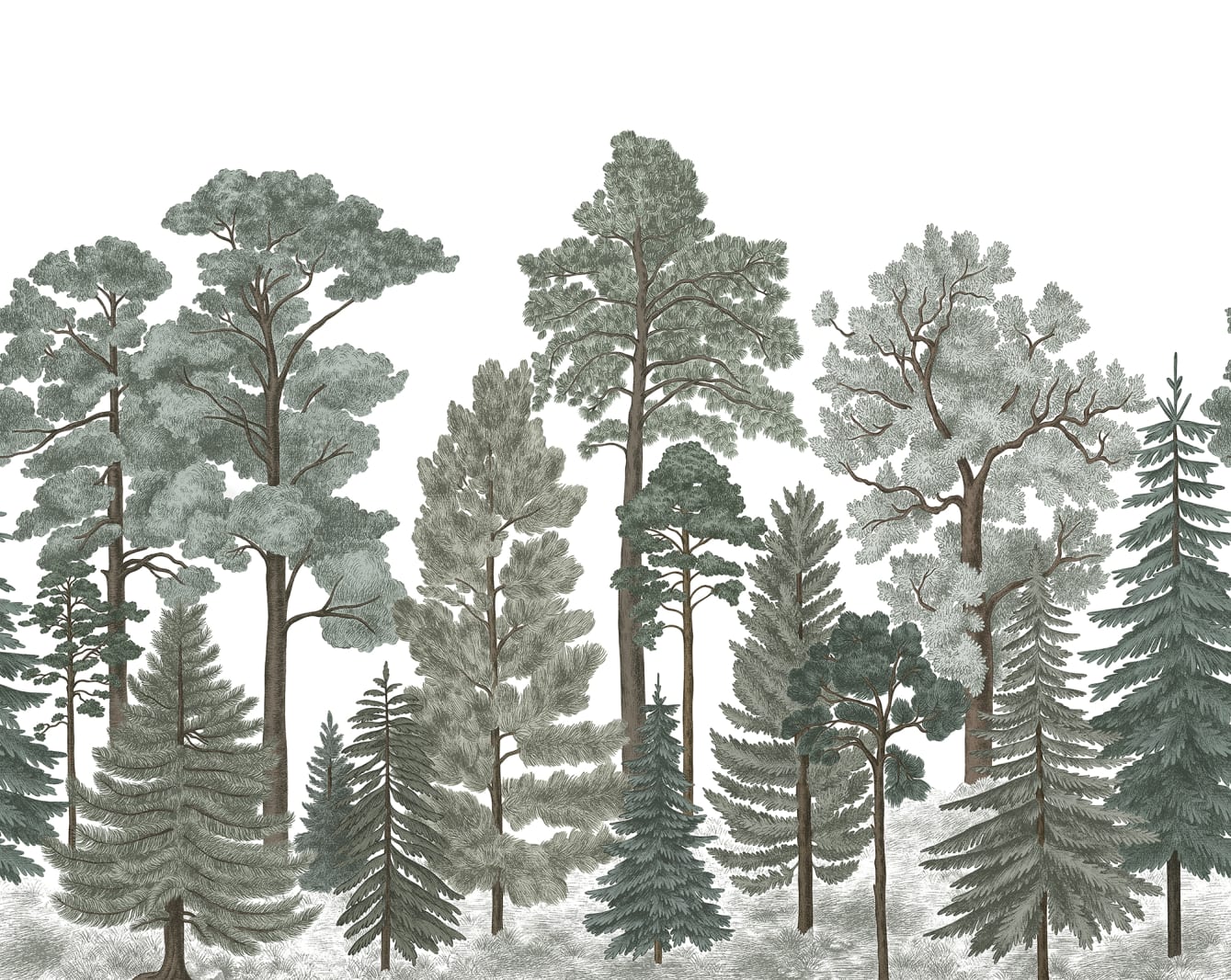 Scandinavian Bellewood, Frost, Rebel Walls