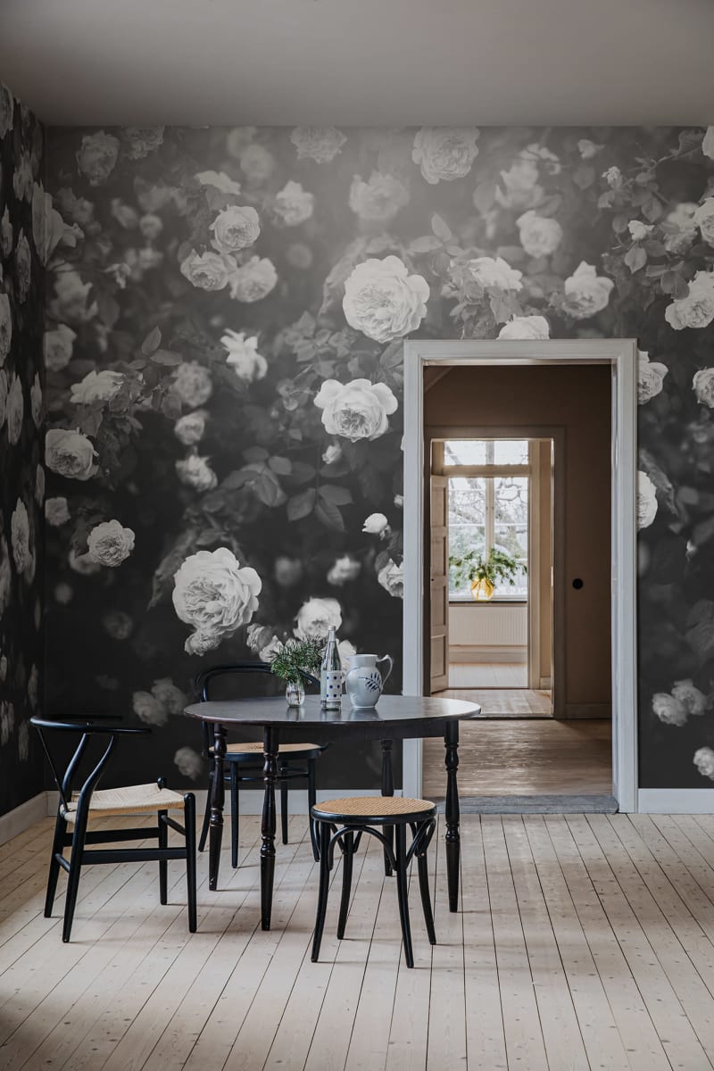 Regal Rose, Black & White, Rebel Walls 2