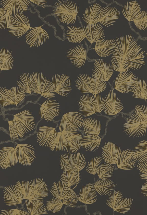 Pine Black, Sandberg, 5.3mp / rola