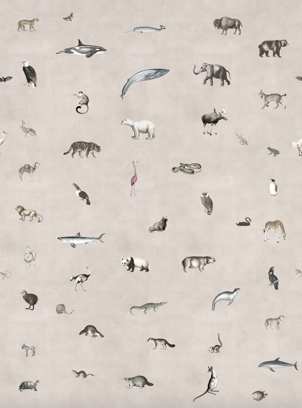 Wildlife, Sand, Rebel Walls