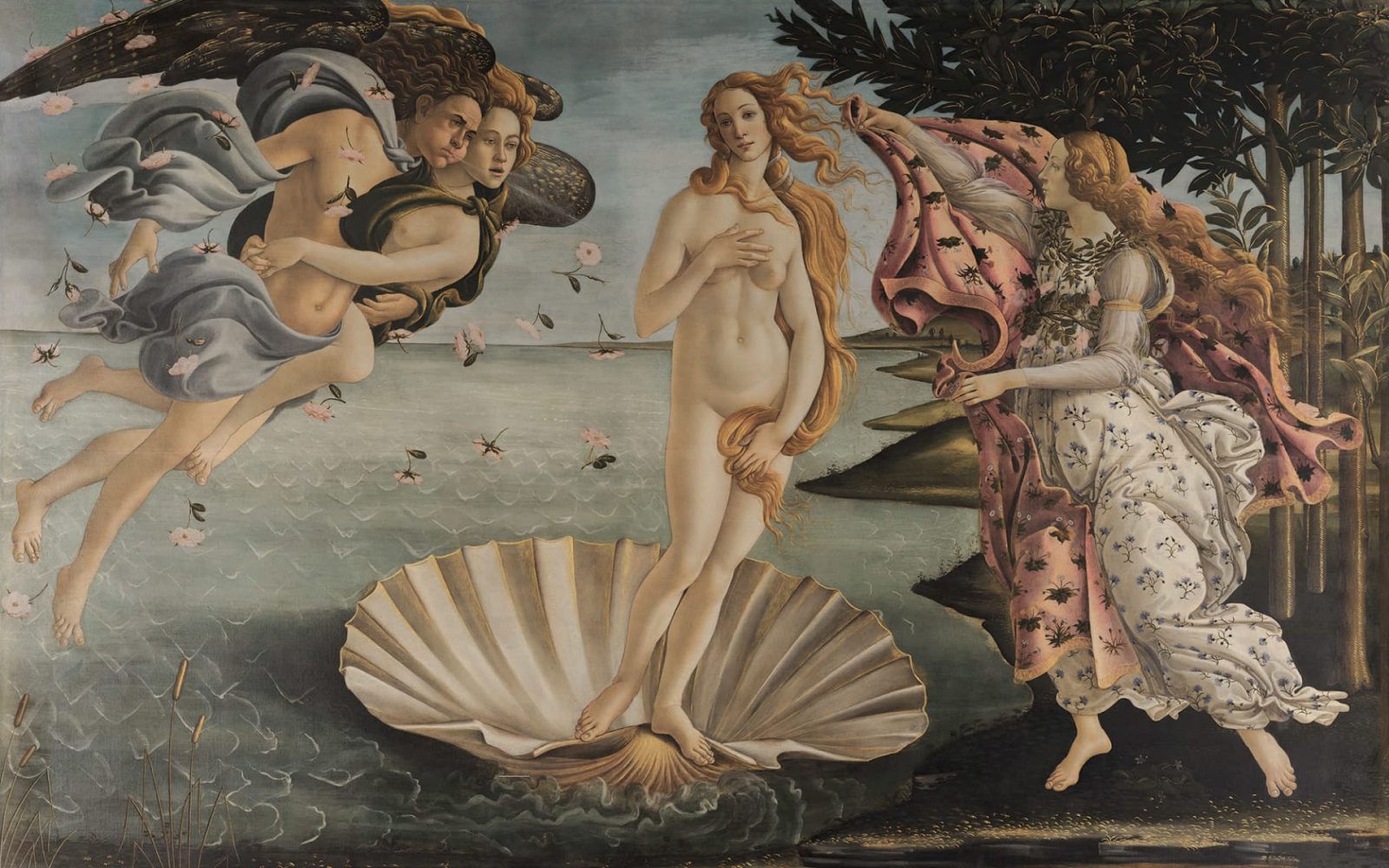 Venus Birth by Sandro Botticelli, Rebel Walls
