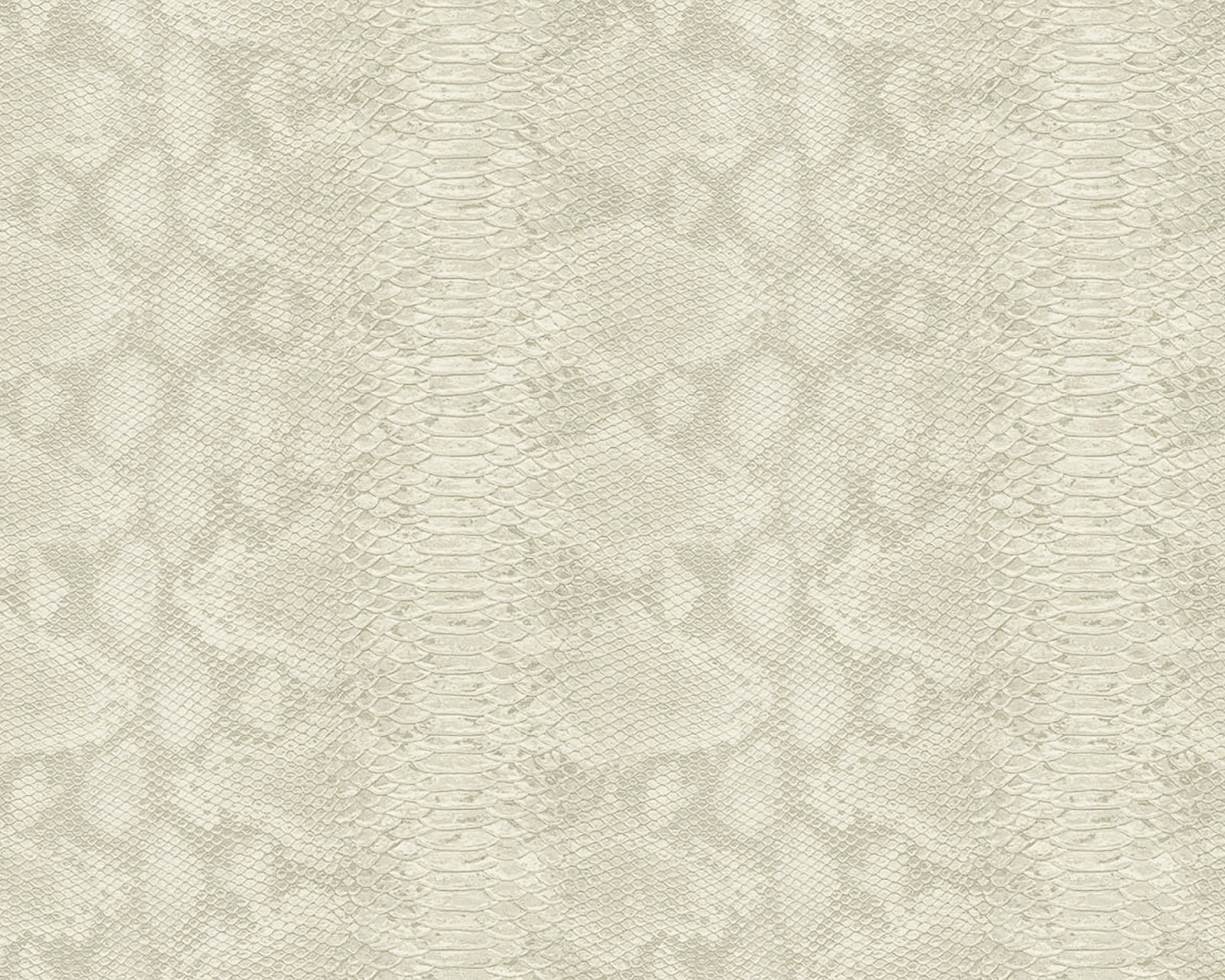 Snake Leather, 64785410, Coordonne