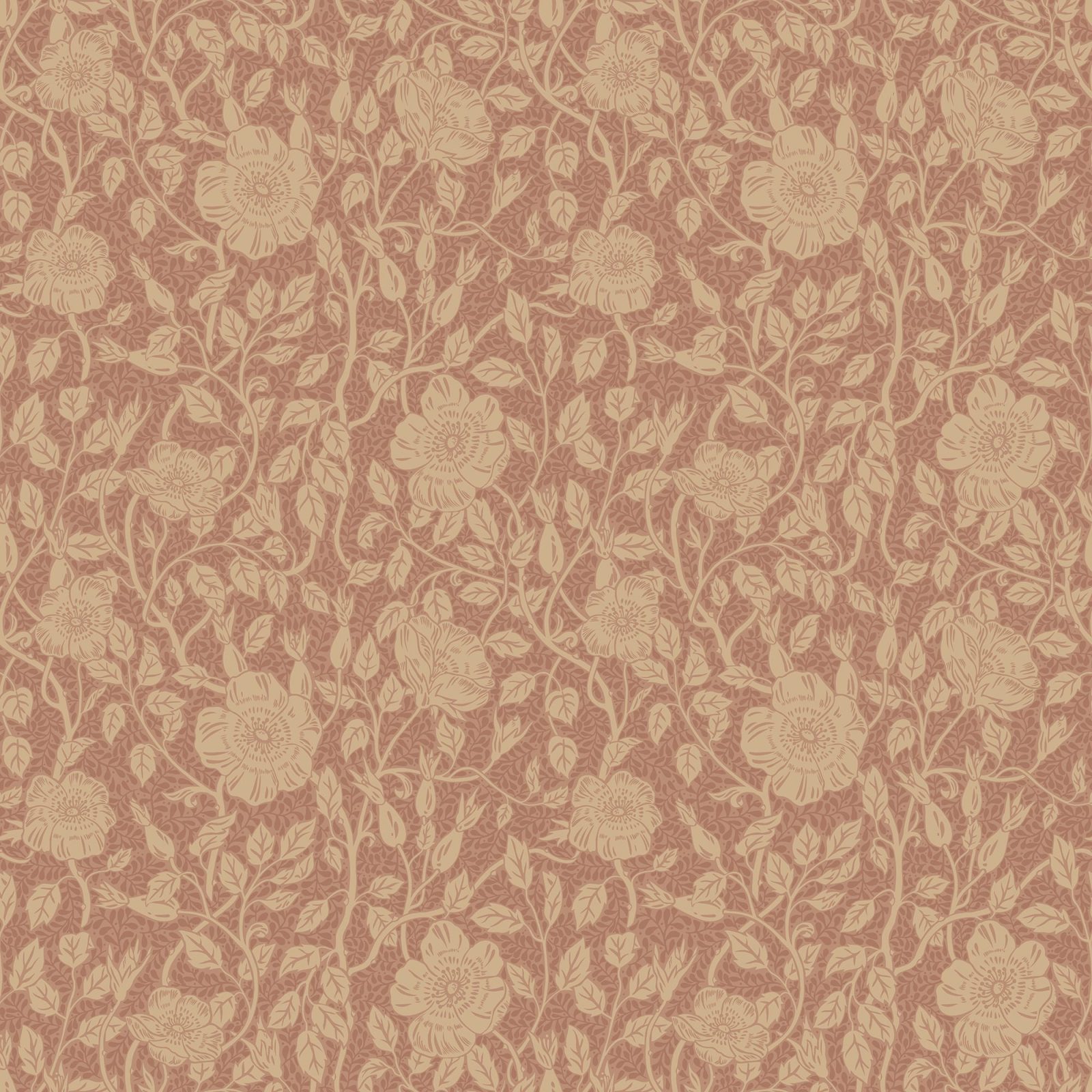 Anton, Terracotta, Sandberg, 5.3mp / rola