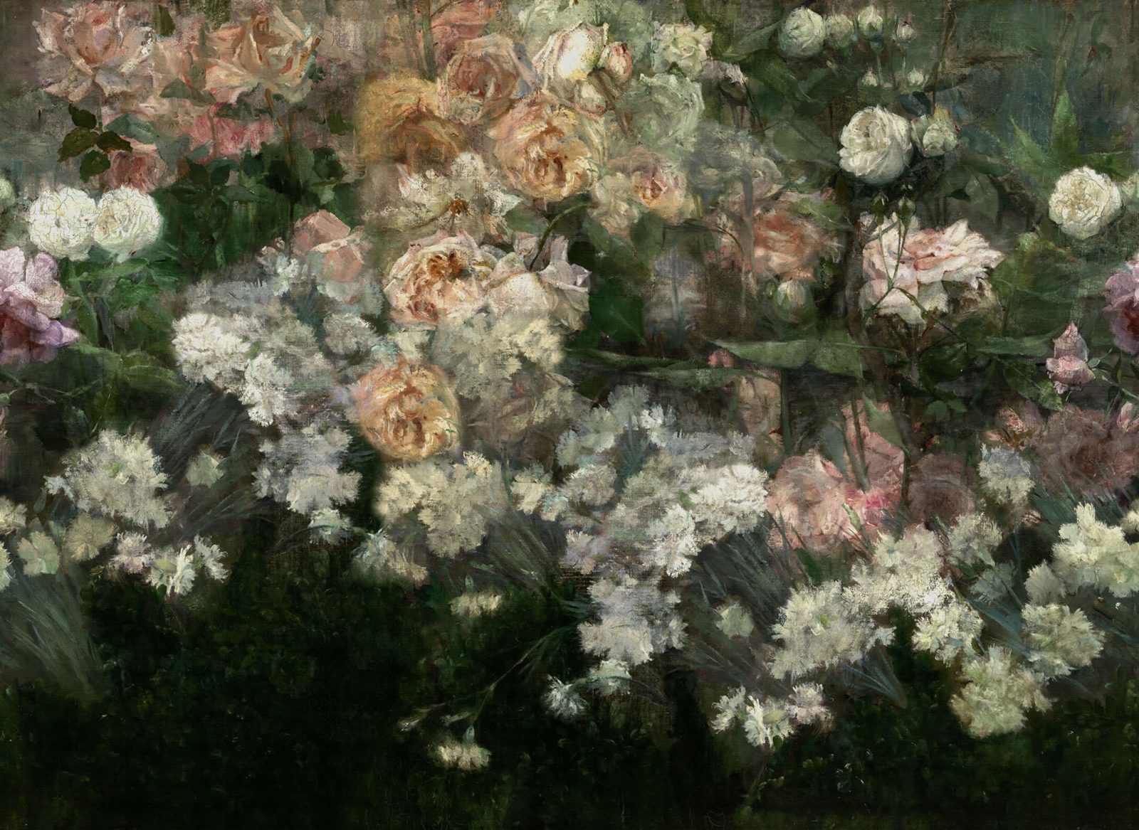 Drape of Roses, Midnight, Rebel Walls