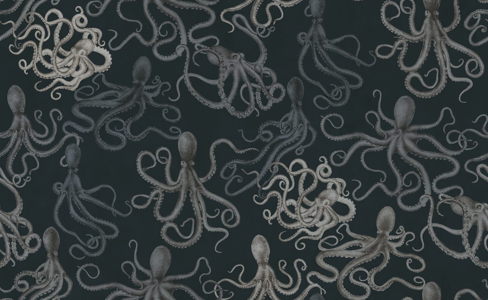 Octopus, Dark, Rebel Walls