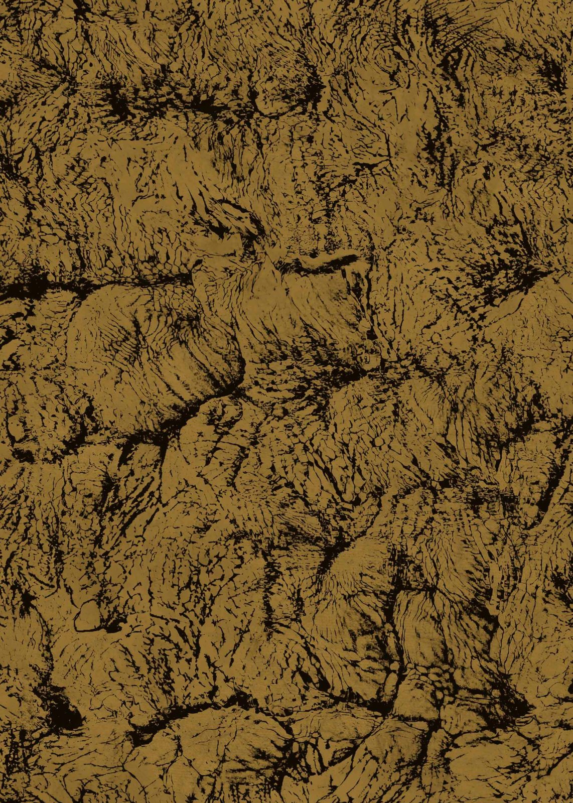 Sepia, Gold, Coordonne, 5mp / rola