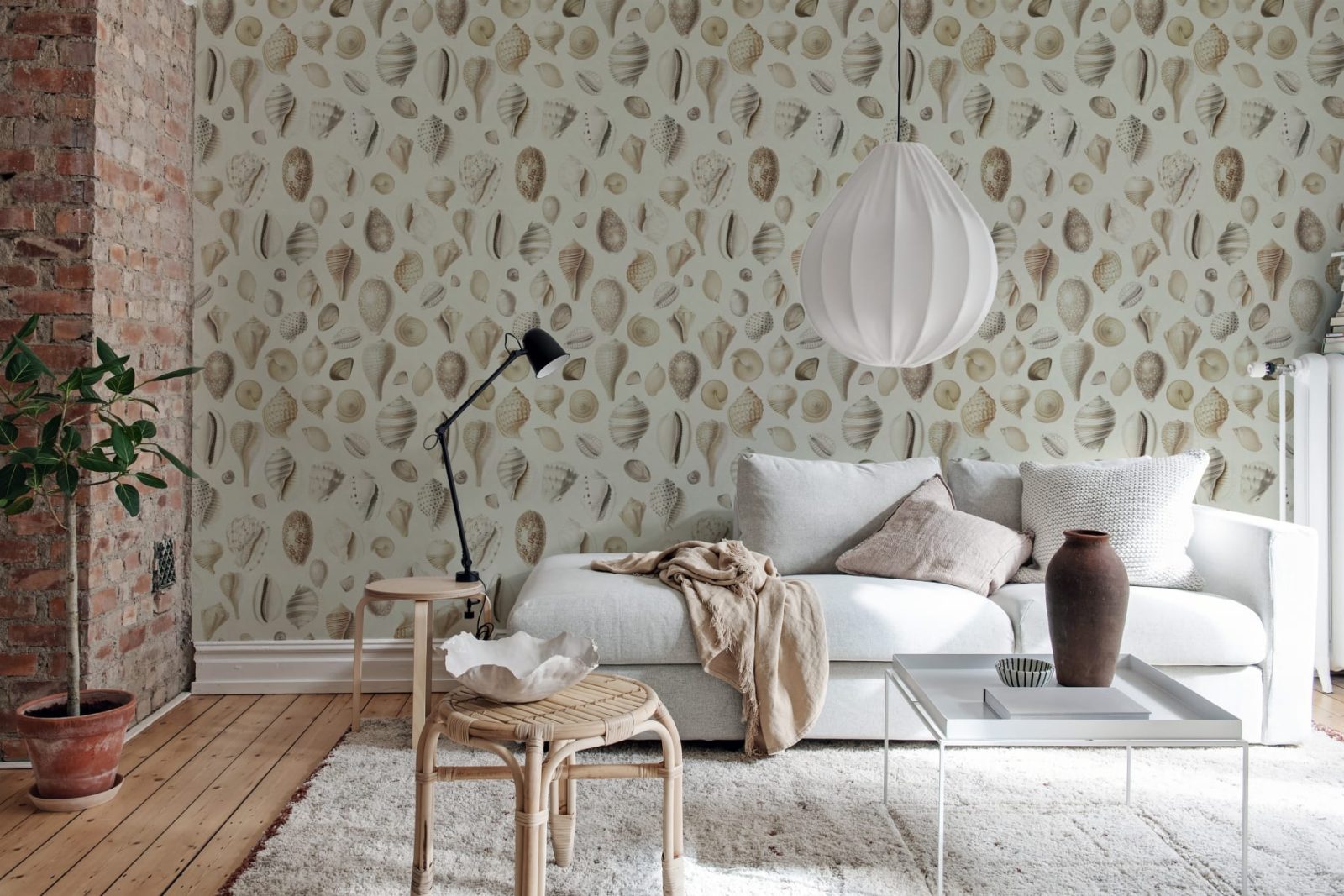 Ocean Shells, Sand, Rebel Walls 2