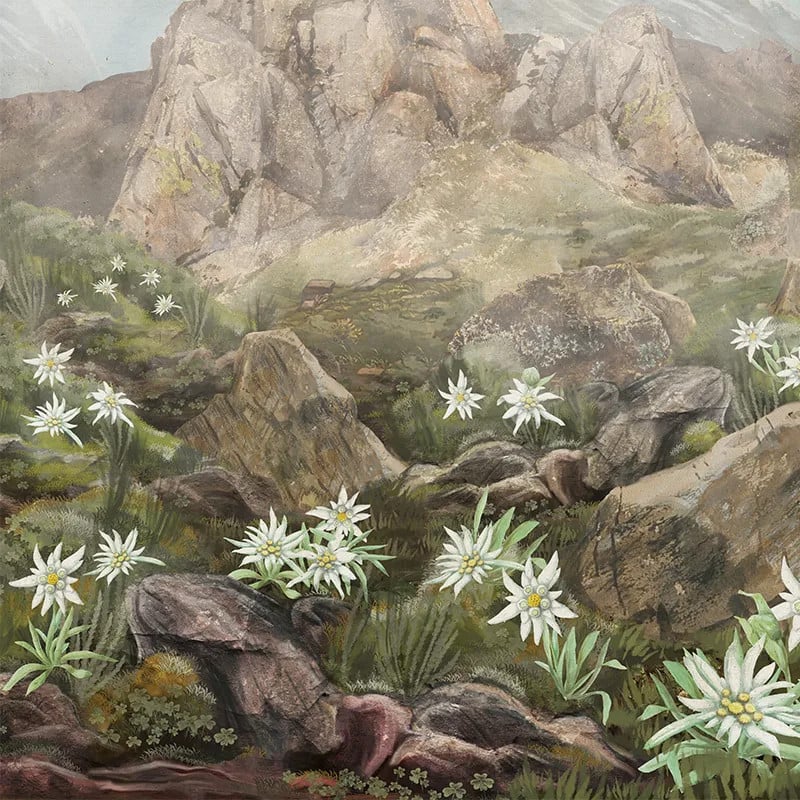 Elysium, VLAdiLA 3